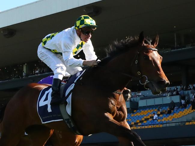 SYDNEY, AUSTRALIA - SEPTEMBER 09: Ryan Maloney riding Sunshine In Paris wins Race 6 Irresistible Pools Sheraco Stakes during Sydney Racing at Rosehill Gardens on September 09, 2023 in Sydney, Australia. (Photo by Jeremy Ng/Getty Images)