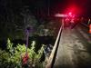 Tragic end to search for missing tourists