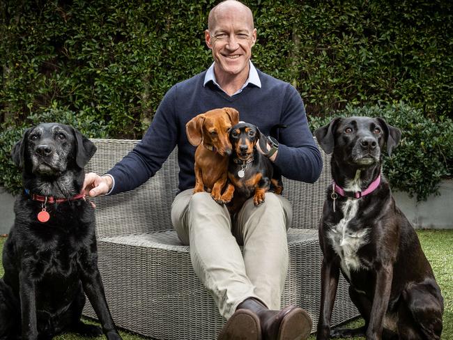 Former Carlton player, vet Dr Andrew McKay, at home with his dogs, Andrew has also a line of supplements people can buy to help dogs with anxiety. Wally, Peggy, Poppy,  and Winnie. Picture: Jake Nowakowski