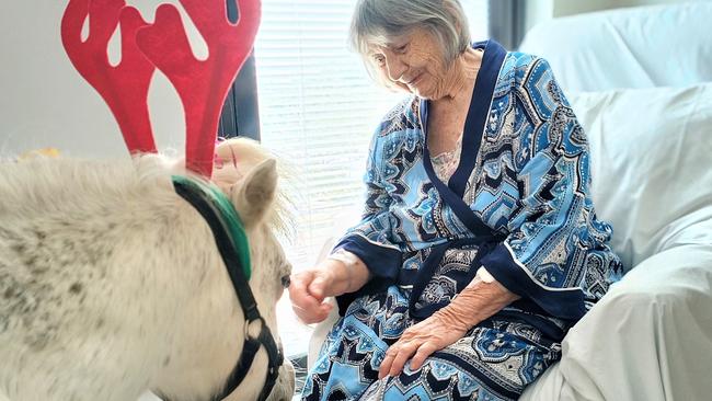 Susan Fraser and Possum, one of the therapy ponies from Hoofbeat Farm during their visit to Kempsey District Hospital .