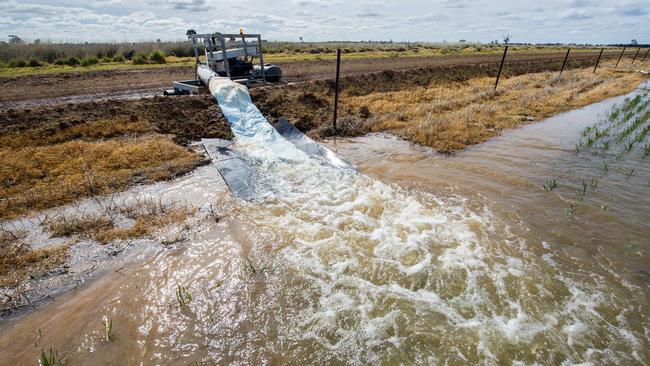 Australia’s top water bureaucrats have told their state and federal ministers to act now, after warning Basin Plan will fall short of its June 2024 target. Picture: Zoe Phillips