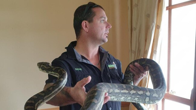 Steven Brown with the reptile which curled up for the night in a removal box at The Gap.