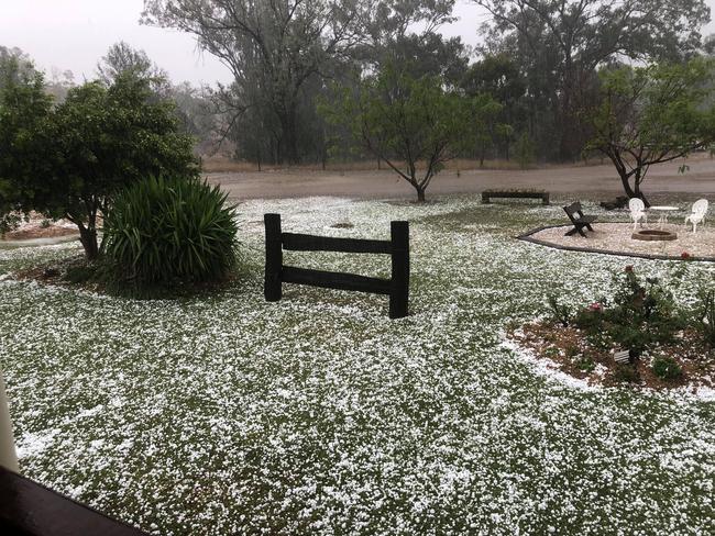 SOCIAL MEDIA IMAGE DISCUSS USE WITH YOUR EDITOR - The property called "Kerwee", located 2hrs west of Bundaberg was coated in hailstones. Supplied: Trudie Payne