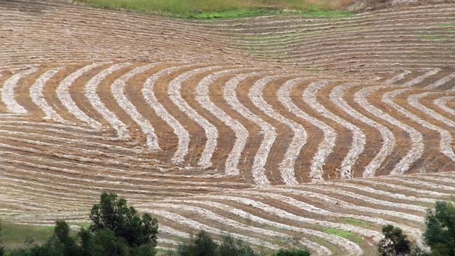 Cut hay lies in a paddock. Demand has stalled