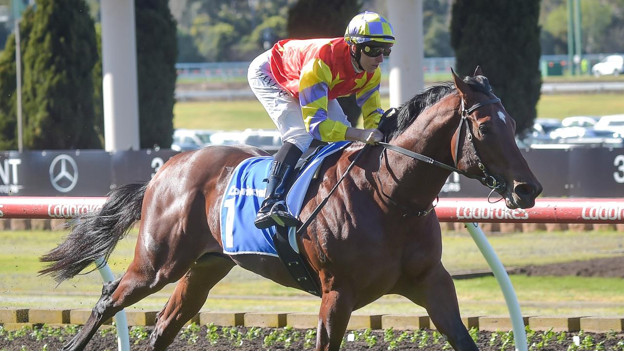 Progressive sprinter Alpha One can resume with a win at Randwick on Saturday. Picture: Racing Photos via Getty Images