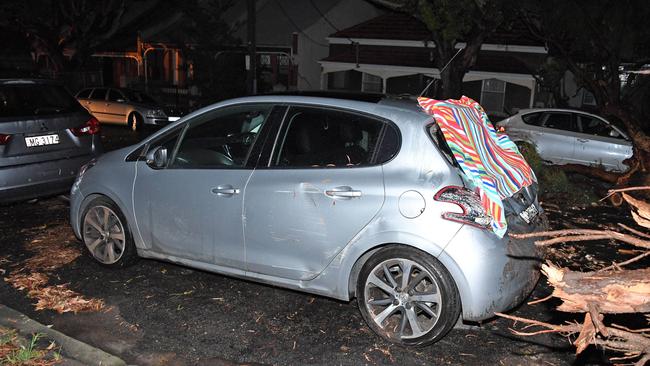 The SES received 500 calls for help as trees fell on cars and homes. Picture: Belinda Rolland