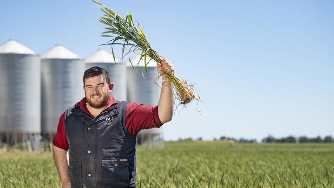 Fox and Miles agronomist Rob Fox pictured in a crop of wheat. Picture: Zoe Phillips