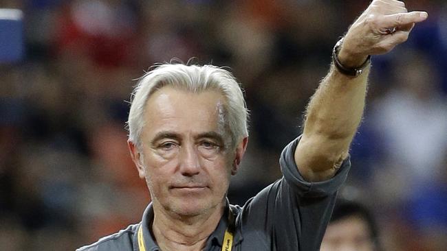 Bert Van Marwijk has been appointed head coach of Australia for the World Cup. Pic: AP