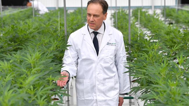 Federal Health Minister Greg Hunt is seen inspecting the cannabis plants at the opening of Medifarm on the Sunshine Coast in 2019