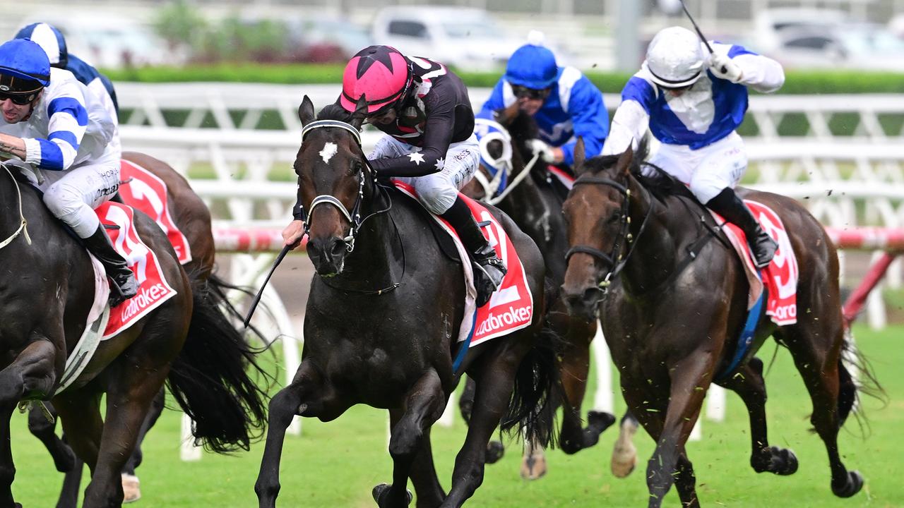 The development will include 4000 medium-density dwellings in buildings no higher than five storeys, with commercial units on the ground floor. Picture: Grant Peters – Trackside Photography