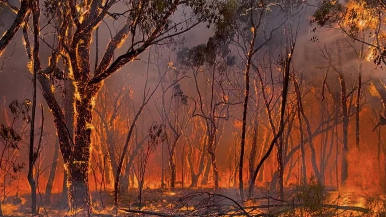 ‘Leave immediately’: Bushfires threaten homes in Victoria’s west