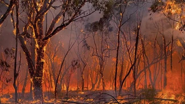 02/02/2025  Kerang CFA crews in the Grampians assisting with back burning and monitoring tree crowning and spot overs. The chasing breakouts into areas out of the containment lines . picture: Facebook / Kerang Fire Brigade