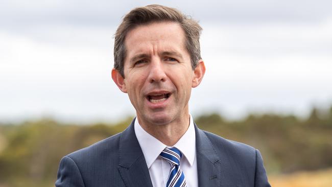 Trade Minister Simon Birmingham last night ordered an ­urgent investigation by Australia’s ambassador in Beijing, Jan Adams. Picture: AAP