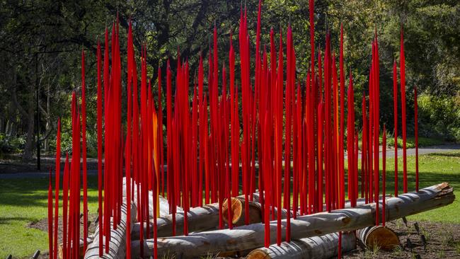 Dale Chihuly Red Reeds on Logs, 2024. Adelaide Botanic Garden. Picture: Nathaniel Willson.