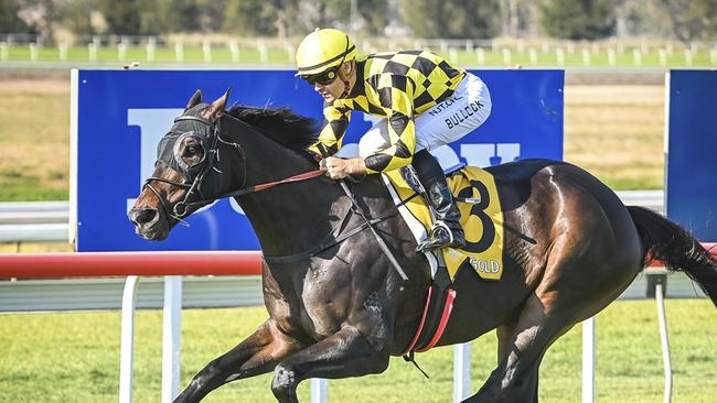 Akasawa is a strong chance at Rosehill on Saturday. Picture: Bradley Photos