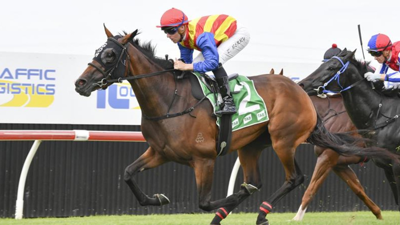 Hickman’s mare can leave lasting Legacy in Lord Mayor’s Cup