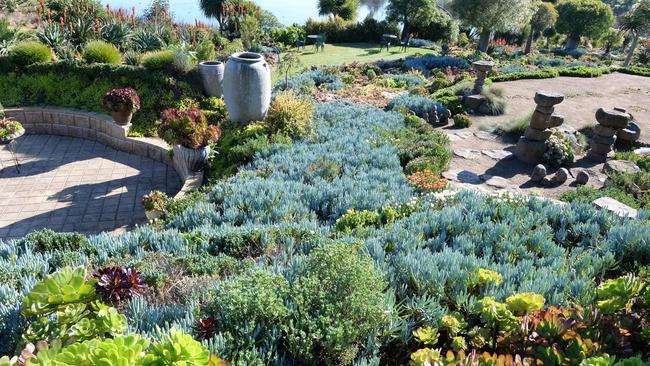 The Narre Warren backyard features 10,000-odd plants grown from seeds or cuttings. Picture: Lawrence Pinder