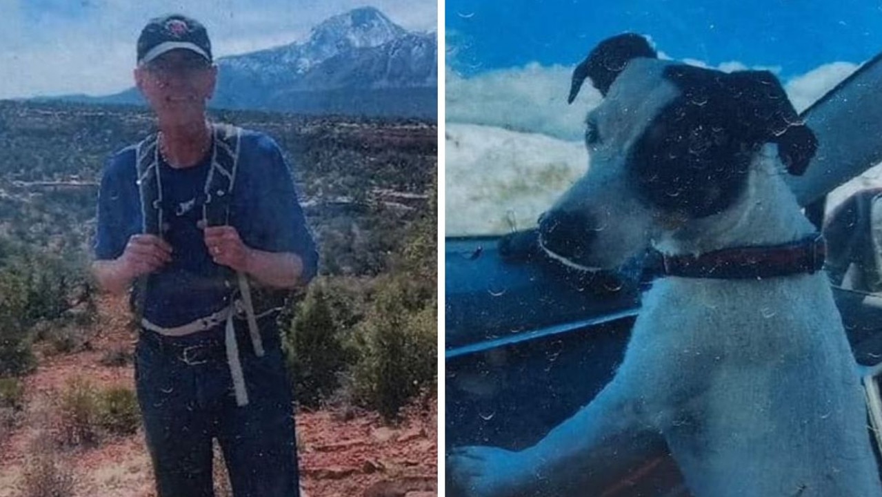 Loyal dog found alive beside missing hiker’s body