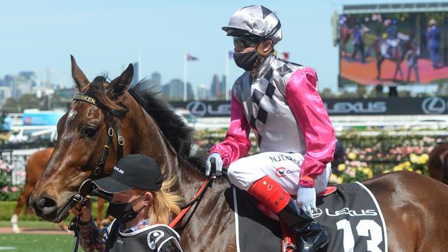 Surprise Baby failed to fire in the Melbourne Cup. Picture: Getty Images