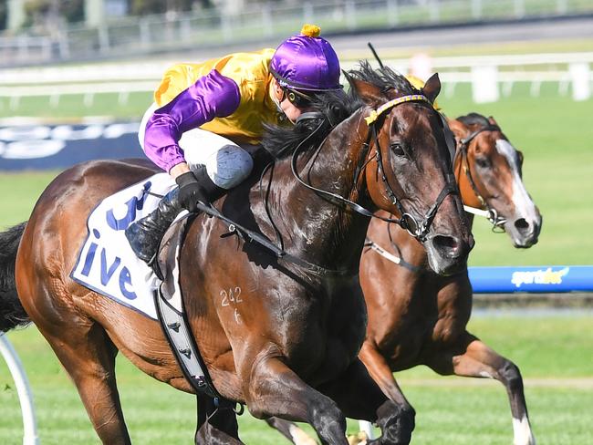 Border Leicester (NZ) ridden by Blake Shinn wins the ive > Handicap  at Ladbrokes Park Hillside Racecourse on January 17, 2024 in Springvale, Australia. (Photo by Pat Scala/Racing Photos via Getty Images)