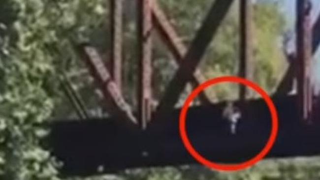 Boy Tossed Off Bridge As His Mother Cheers Leaving Onlookers Horrified