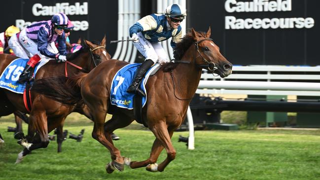 Jimmysstar takes out the Oakleigh Plate at Caulfield on Saturday. Photo: Vince Caligiuri/Getty Images.