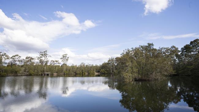 Plans are afoot to turn the neglected lakes at Deepwater Park into recreational facilities for the families. Picture: Matthew Vasilescu