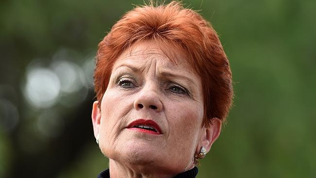 Pauline Hanson has returned to politics in a big way. Picture: Dan Peled/AAP