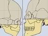 Why people are ‘becoming less attractive’