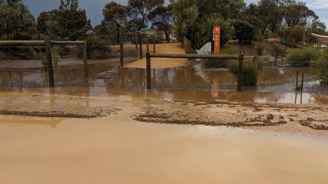 An abundance of water at Monarto Safari Park forced its closure. Picture: Monarto Safari Park