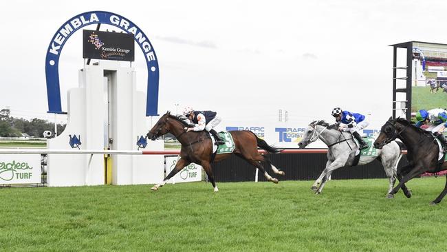 Danaustar wins at Kembla Grange in November last year. Mitch Cohen thinks he's got a terrific chance at a nice each-way price in Race 9 at Rosehill on Saturday. Picture: Bradley Photos