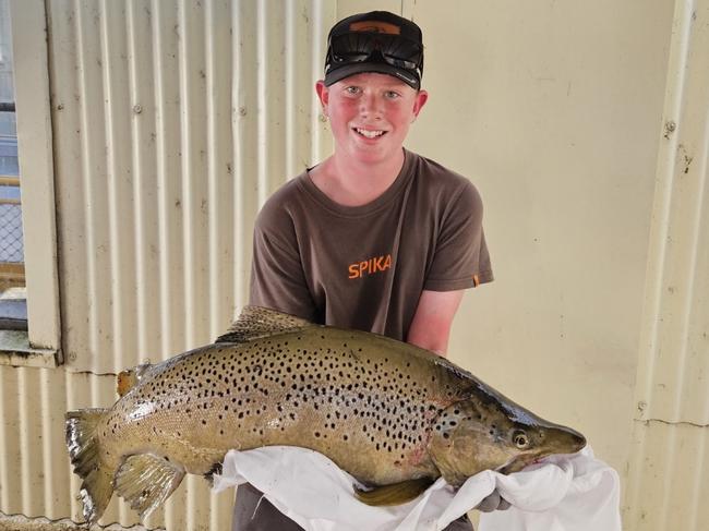 Will Morice with a brown trout he caught in the Nive River in the Central Highlands. Picture: Simon McGuire.