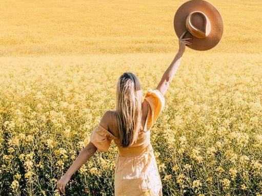 Instagram posts of Australia's rich canola fields has never been more popular.