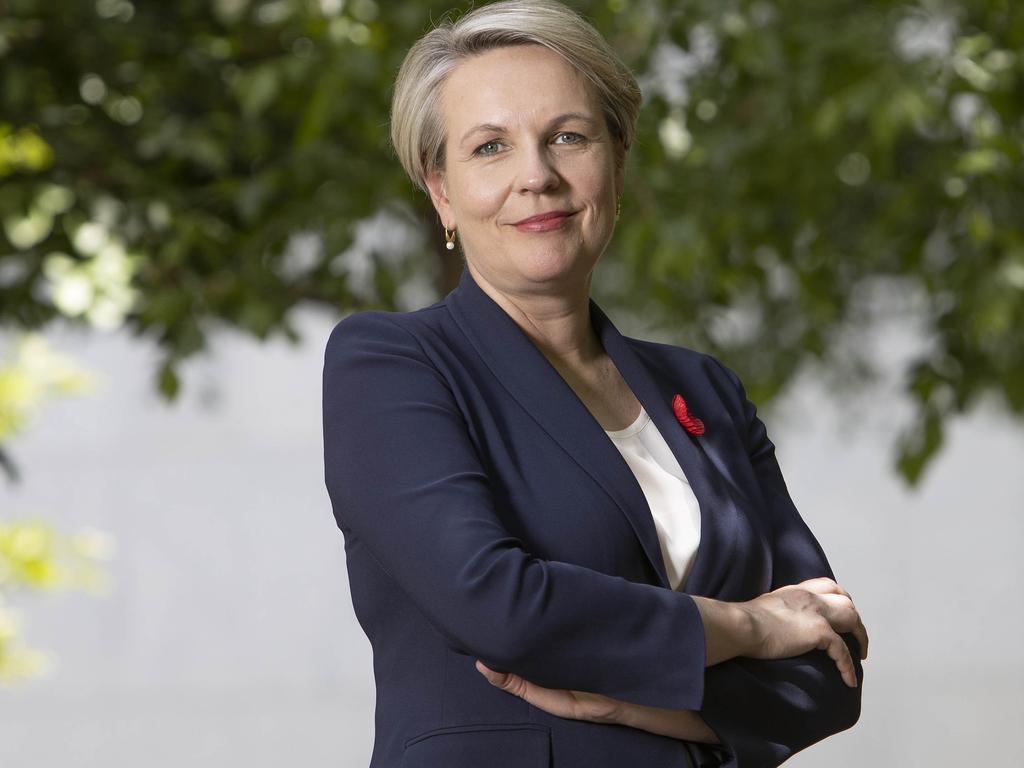 Tanya Plibersek is tipped to be the next Labor leader. Picture: NCA NewsWire / Gary Ramage