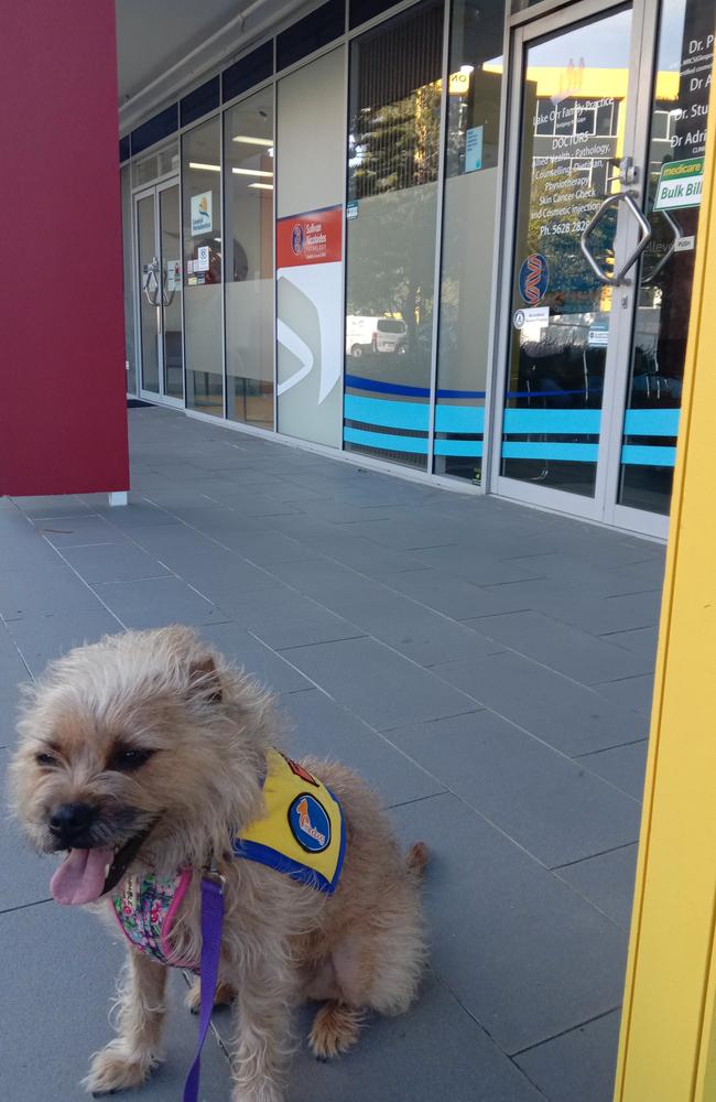 Mental health assistance dog, Poppy, outside the Lake Orr Family Practice in Varsity Lakes, where Cheryl Cogan alleges she was asked to wait outside despite Poppy being an accredited service dog through mindDog Australia. Picture: Cheryl Cogan