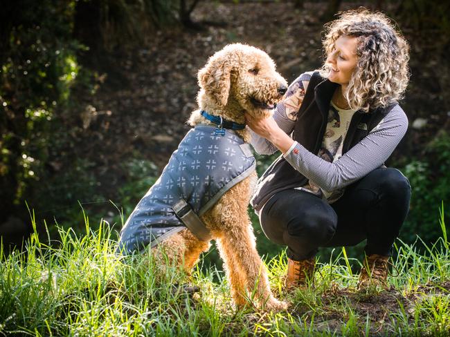 Don’t forget to bring something warm for your pooch to wear on those cold nights out. Picture: PETstock