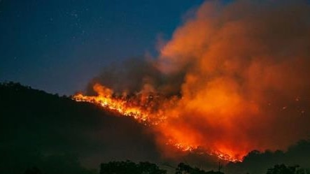 Fire tears through the Hinterland in 2019. Picture: @1g_photography