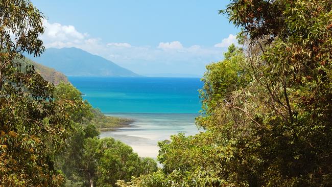 Lauded as one of the most spectacular destinations on earth, Cape Tribulation attracts thousands of visitors from around the world each year. (Supplied)