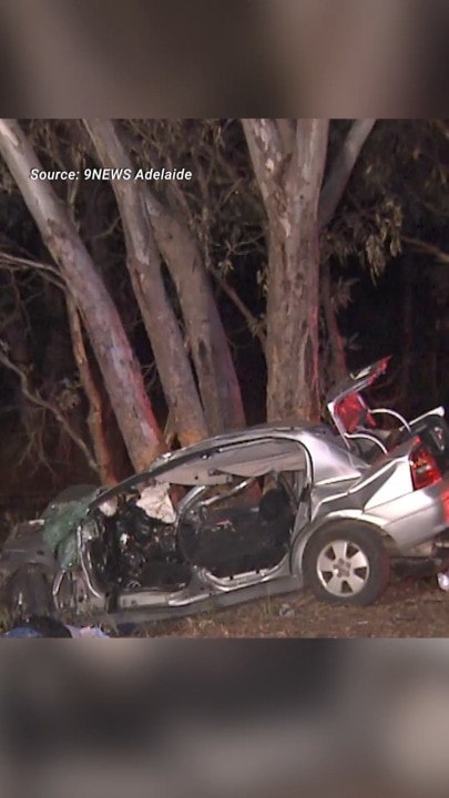 Double fatal after car crashes into tree in Adelaide Hills