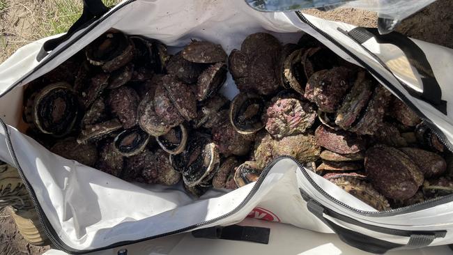 A surge in abalone poaching is one of the big fears of fisheries officer positions in Mallacoota and Lakes Entrance. Picture: Supplied