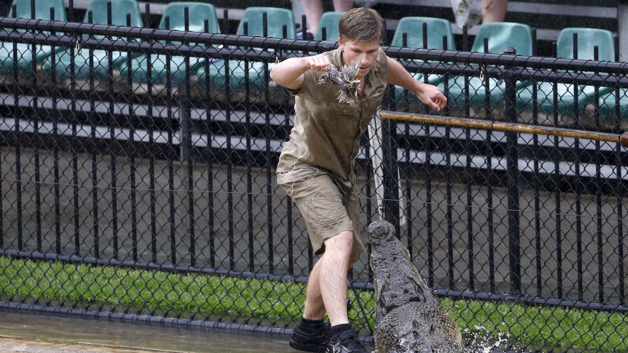 Robert feeds crocodiles at Australia Zoo. Picture: NewsWire/Tertius Pickard.