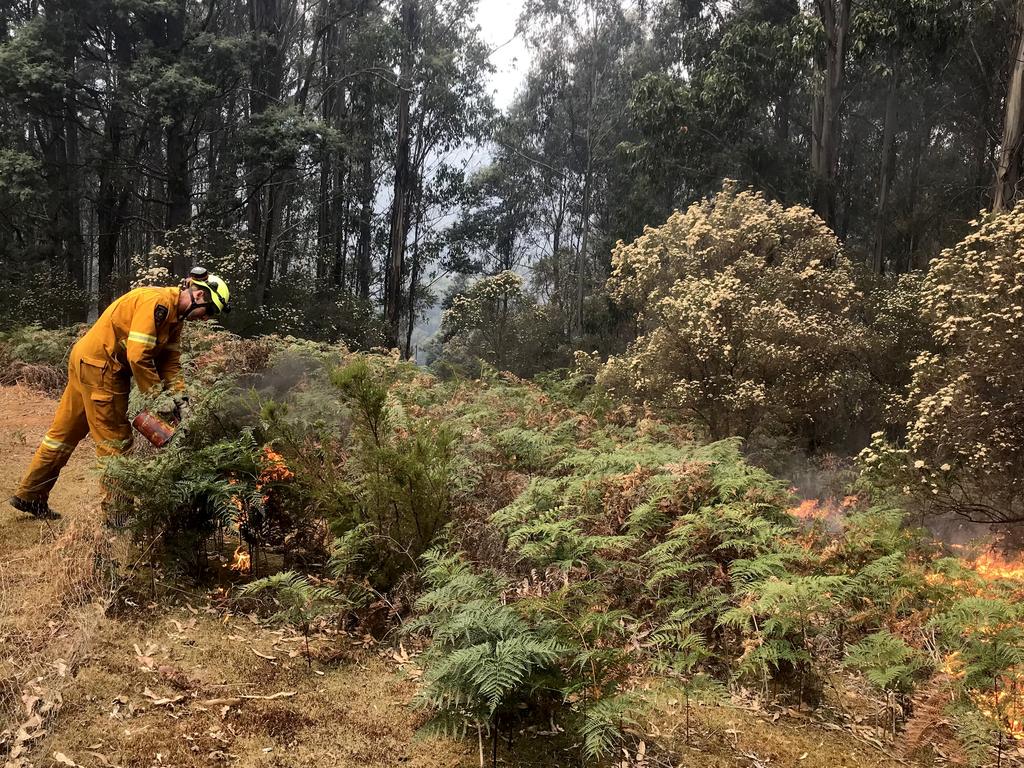 Conducting a back-burn at the top of Donnellys Rd, Geeveston, to protect a house. Picture: RICHARD JUPE