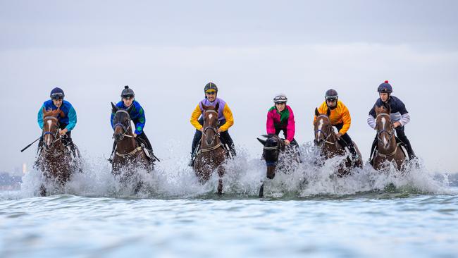 Thoroughbreds from the Price Kent stable – run by trainers Mick Price and Michael Kent Jr – take a dip at Seaford to help launch the 2024 Festival of Racing. Picture: Jason Edwards