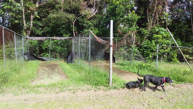 Some believe a lack of investment for the village in the rainforest has impacted the visibility of Kuranda. Picture: Supplied