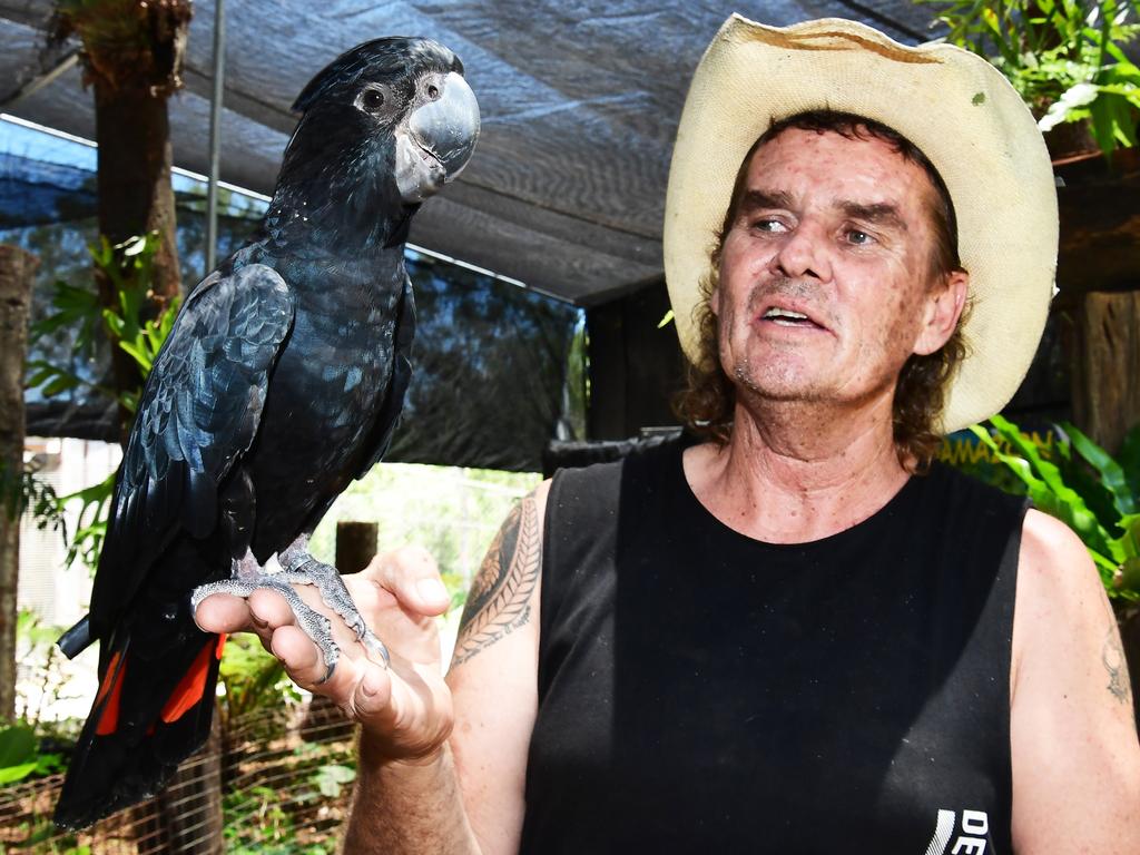 Former Flying High Bird Park owner Ian Dodds with a red-tailed black cockatoo.