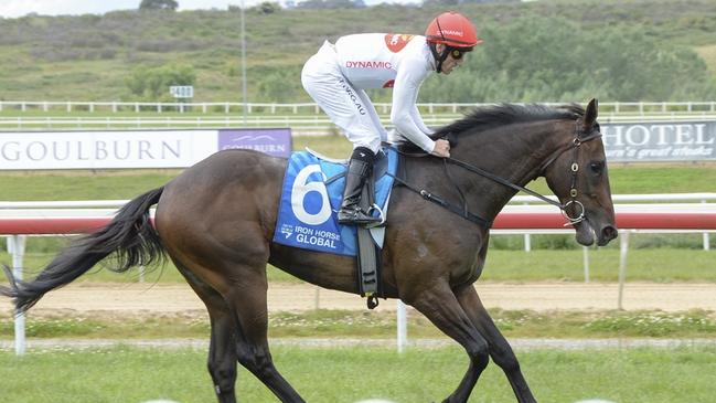 Johnny Dash wins at Goulburn. Picture: Bradley Photos