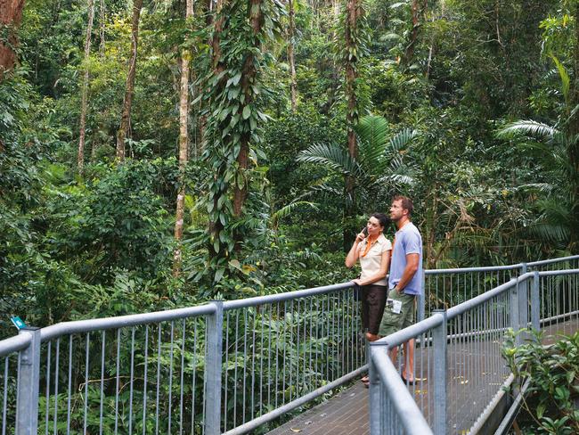 The Daintree Discovery Centre in Far North Queensland’s Daintree Rainforest.