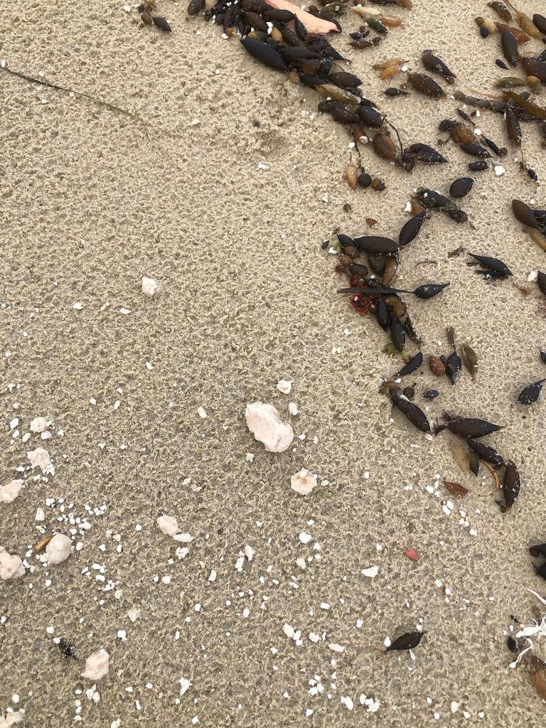 "Foul-smelling chunks" wash up on Verona Sands Beach. Picture: Neighbours of Fish Farming.