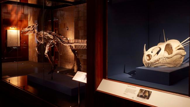 Dracorex Hogwartsia (left) is a highlight of the Fantastic Beasts exhibition. Picture credit: trustees of the Natural History Museum London.