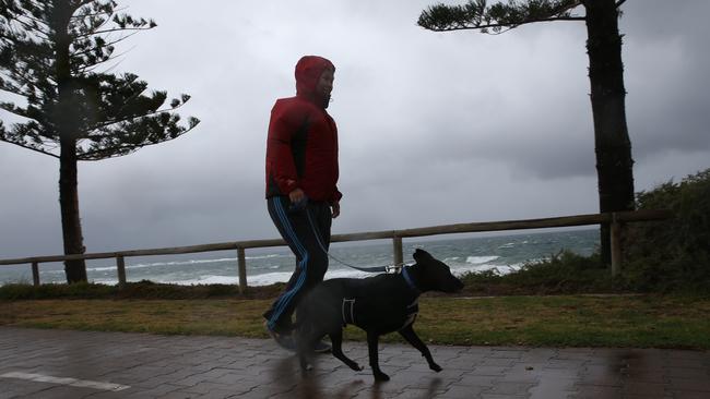 Extreme winds and wet weather to hit the state this weekend. Picture: Emma Brasier